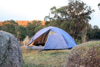 Backyard Campouts: The Perfect Nighttime Activity